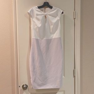 Ted Baker Pencil Dress